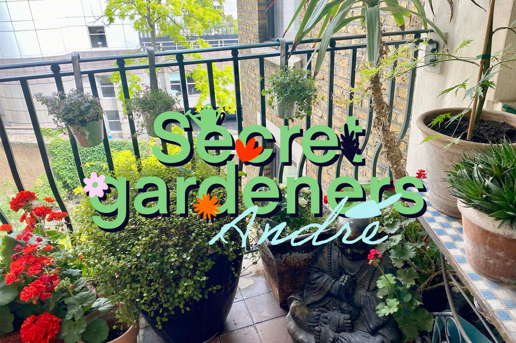 Soho’s Secret Gardeners – Andre Smith: Cultivating Emotional Wellbeing through Gardening